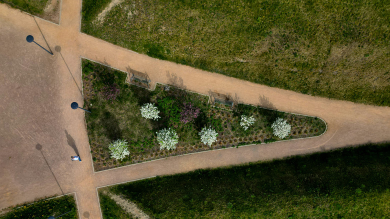 Aerial view of triangular enclosed garden bed