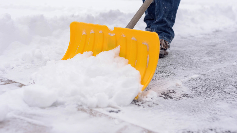 A person shoveling a driveway
