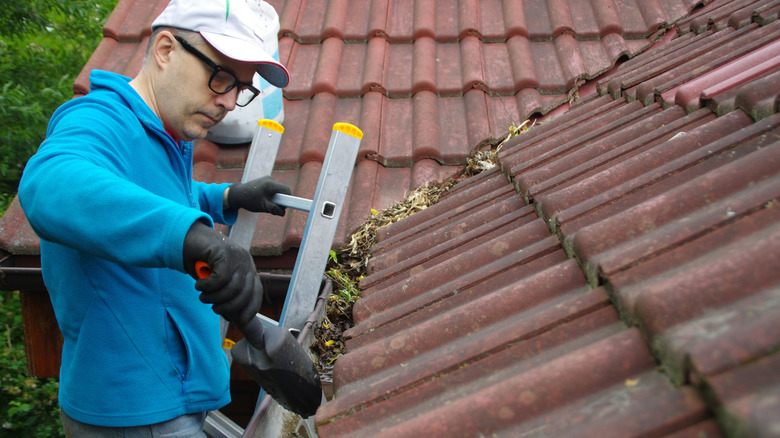 A man on a ladder cleaning a gutter