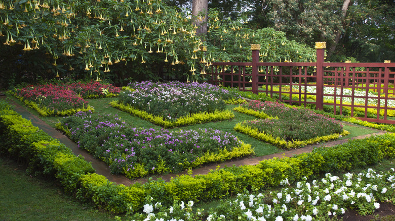 Well-maintained flower garden with living groundcover.