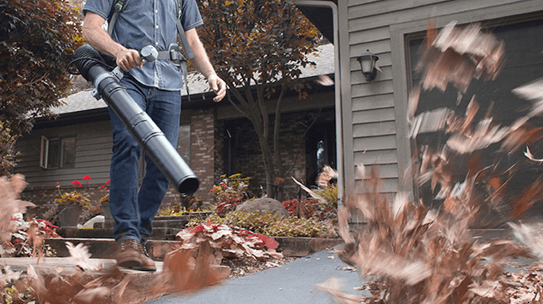 Man using eco-friendly EGO Power+ leaf blower