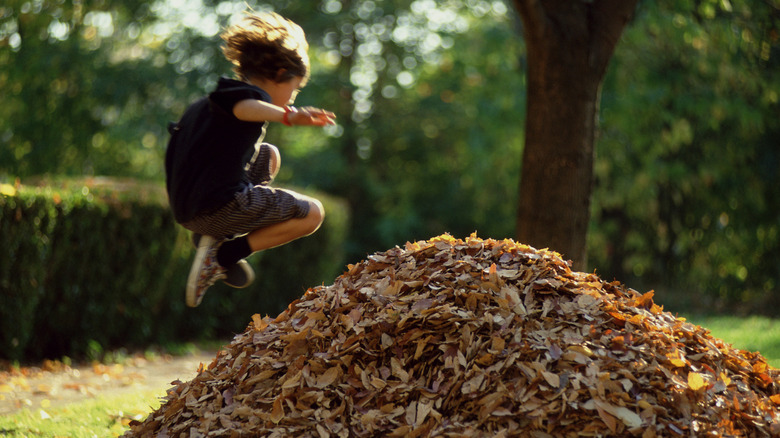 A child jumping into a pile of raked leaves