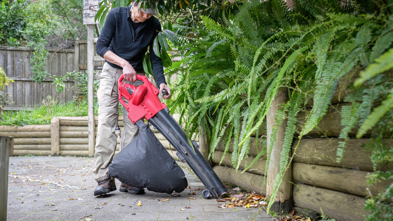 Person using a leaf vacuum