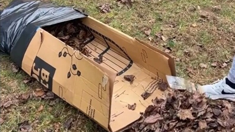 A cardboard box attached to a trash bag for collecting fallen leaves