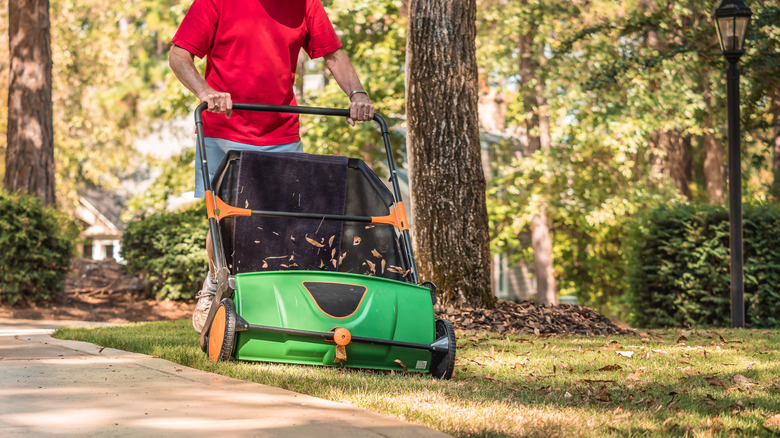Man using a manual push lawn sweeper