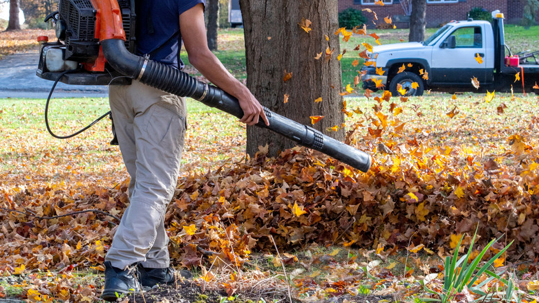 Person using a leaf blower