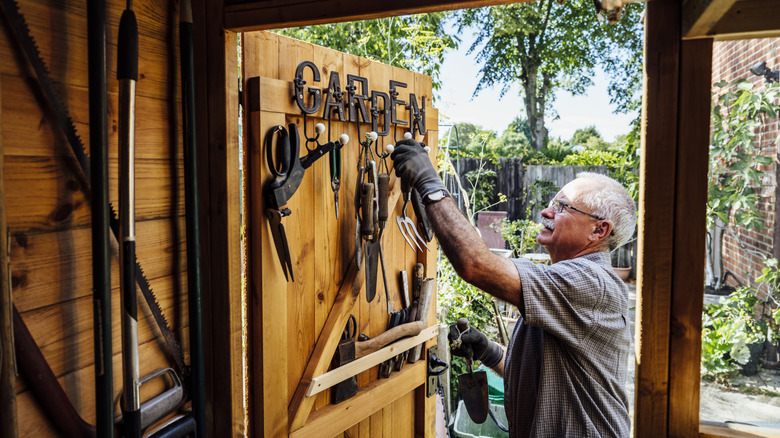 A man hanging tools on the door of his garden shed