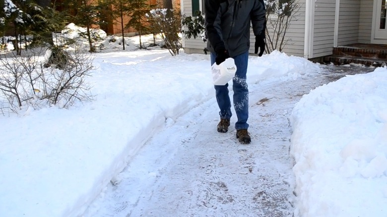 Man using magnesium chloride pellets to melt snow from driveway