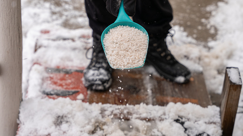 Gloved hand applying rock salt to clear snow
