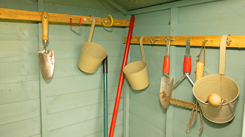 Garden shed with tools hanging from the walls