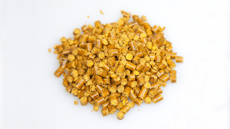 Corn gluten meal pellets against white background
