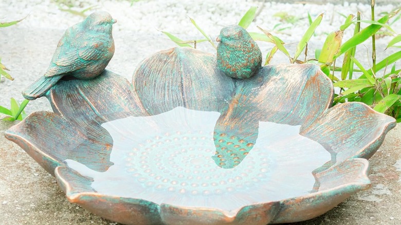 Mumtop resin bird bath shaped like a flower and filled with water.