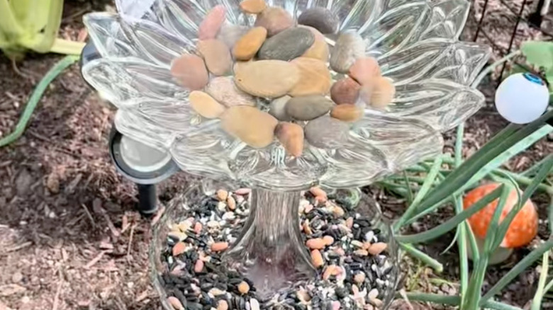 bird bath over bird feeder