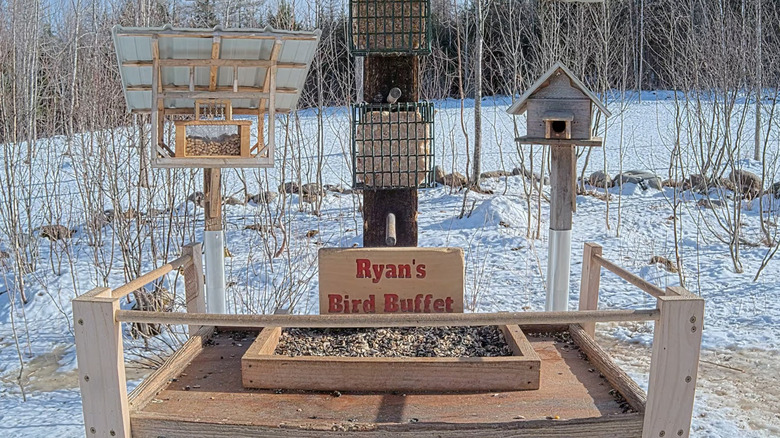 multi-tiered bird feeders for wildlife