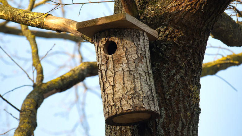 A bird house made out of a log