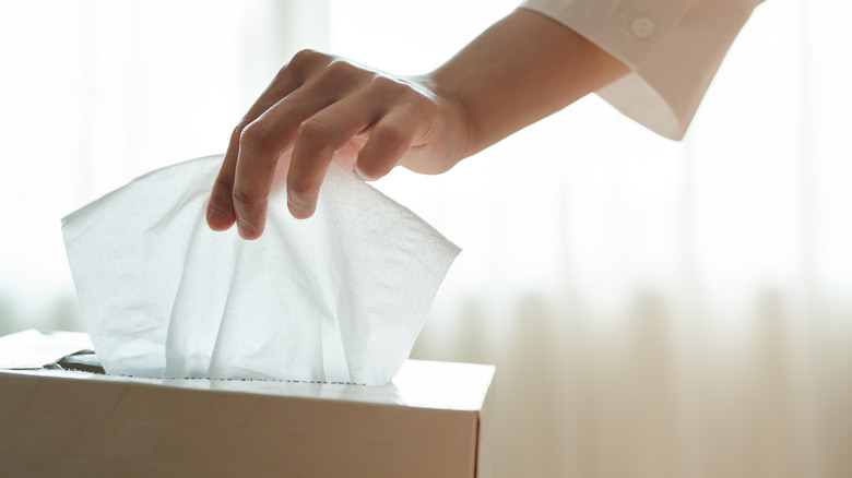 hand removes tissue from box