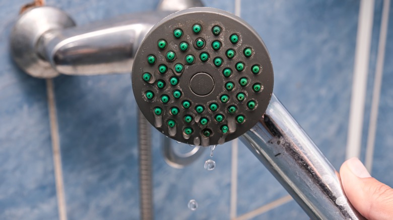 person holding dirty showerhead