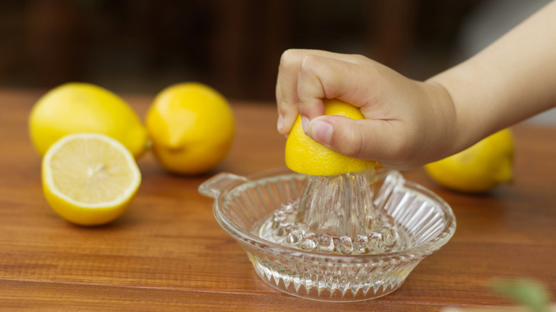 Someone squeezing lemons on a juicer to make lemon juice.