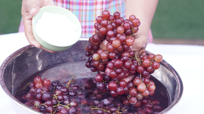 A woman's hands holding a bowl of baking soda and grapes over a bowl of water.
