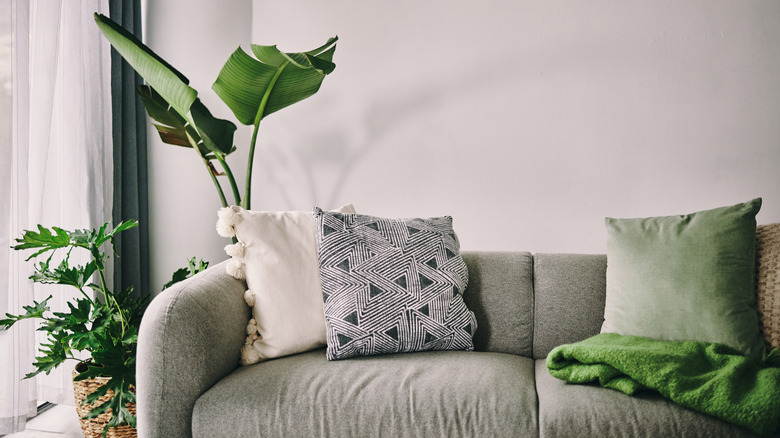 A comfortable-looking couch.