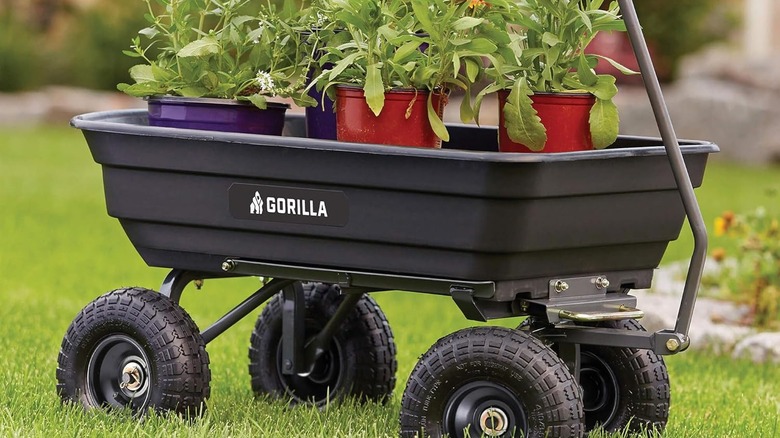 The Gorilla Carts Poly Garden Dump Cart available from Amazon