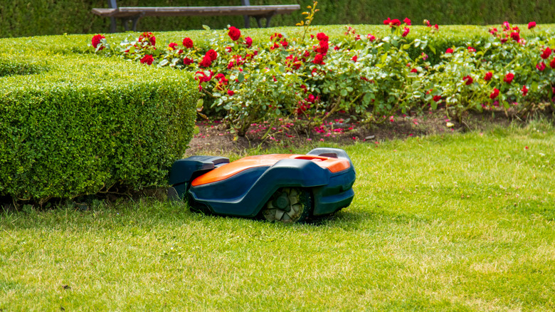 A robotic mower cutting the grass on a beautiful garden lawn.