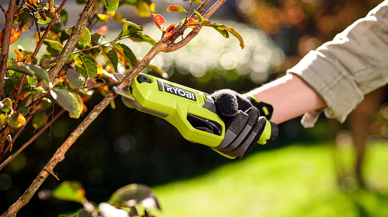 Ryobi's battery-powered pruning shears.