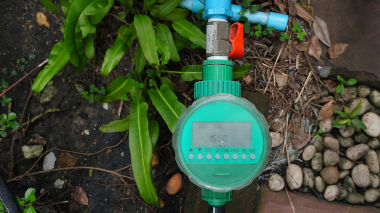 Close-up of an automated sprinkler dial on a garden faucet.