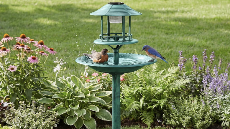 Two birds in a green bird bath that has a light attached to the top.