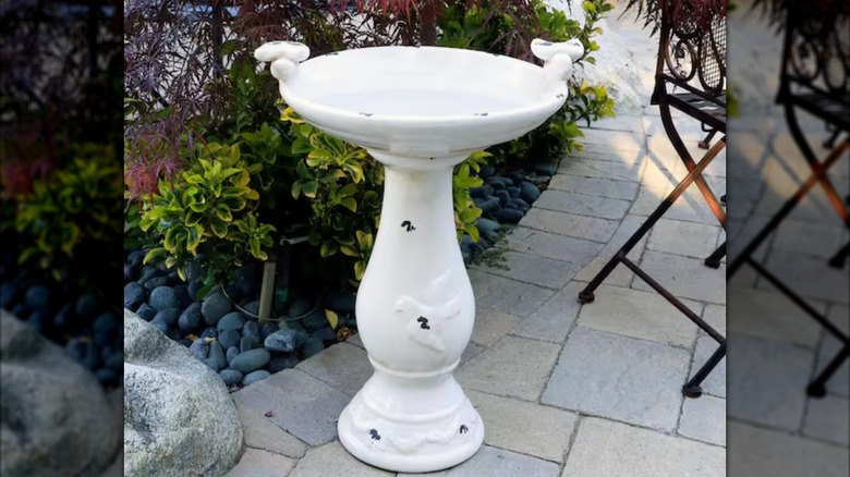 White home depot ceramic bird bath on a stone patio next to some plants