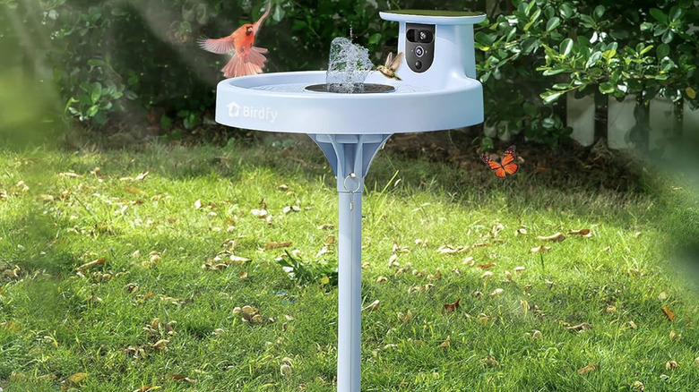 Birdify bird bath in backyard with birds flocking to the water fountain