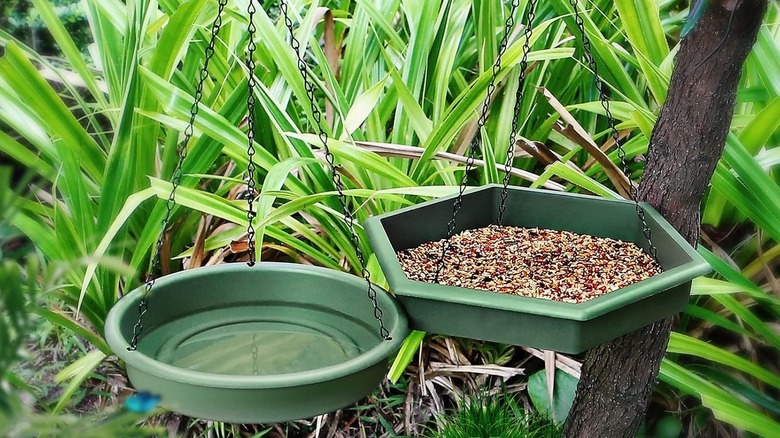 Close-up of Bathth Hanging Bird Bath and Feeder surrounded by plants
