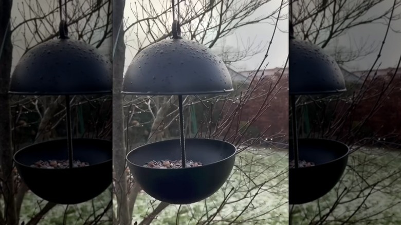 A black bird feeder, made from IKEA serving bowls, hangs in a tree.