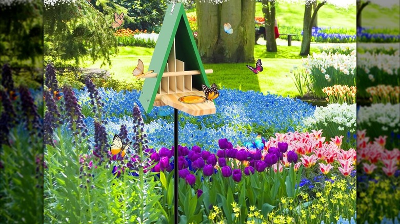 Butterfly House and Feeder product photo.