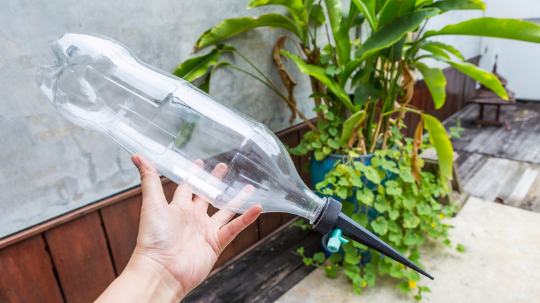 A person holding a soda bottle attached to a watering stake