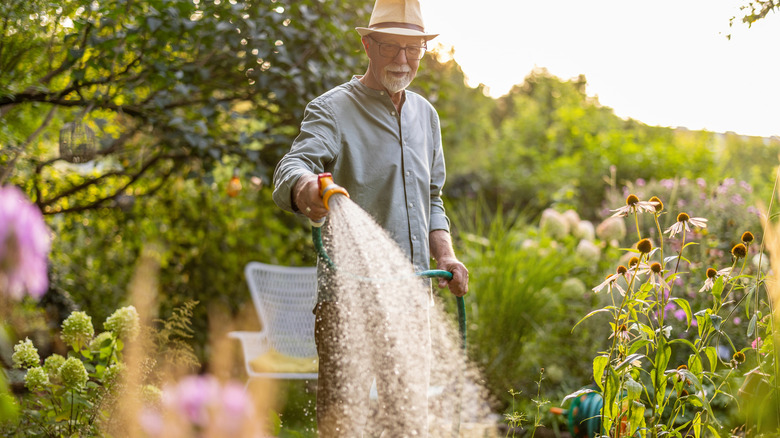 An older man watering his flowers with a garden hose