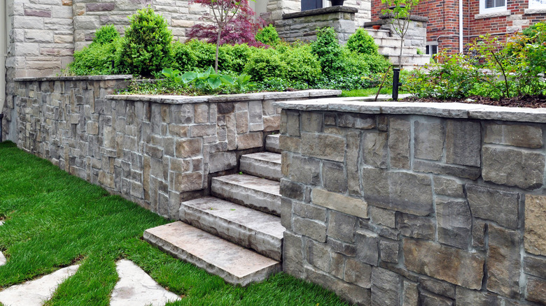 Old brick steps in garden.