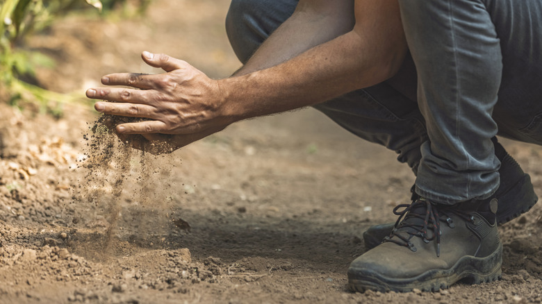 Person kneeling with dirt falling from their hands