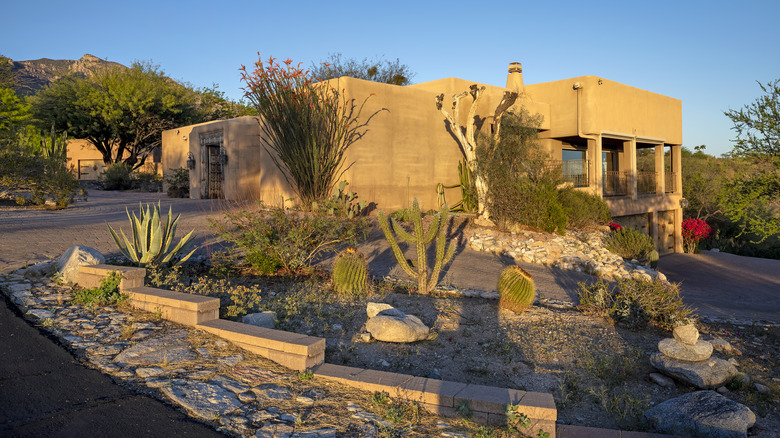 Desert climate with house and front yard that is xeriscaped