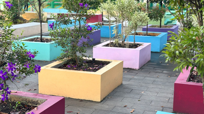 Multiple colorful concrete block planters