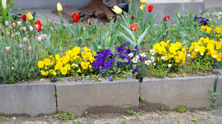 Simple concrete block planter in a line