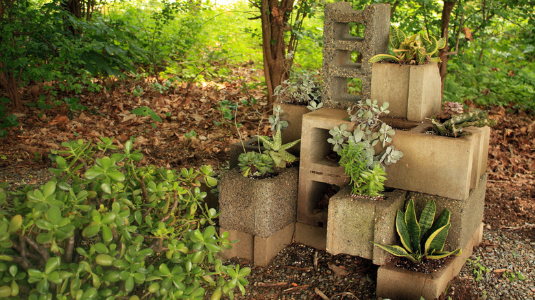 Concrete blocks staggered and filled with a variety of succulents and plants