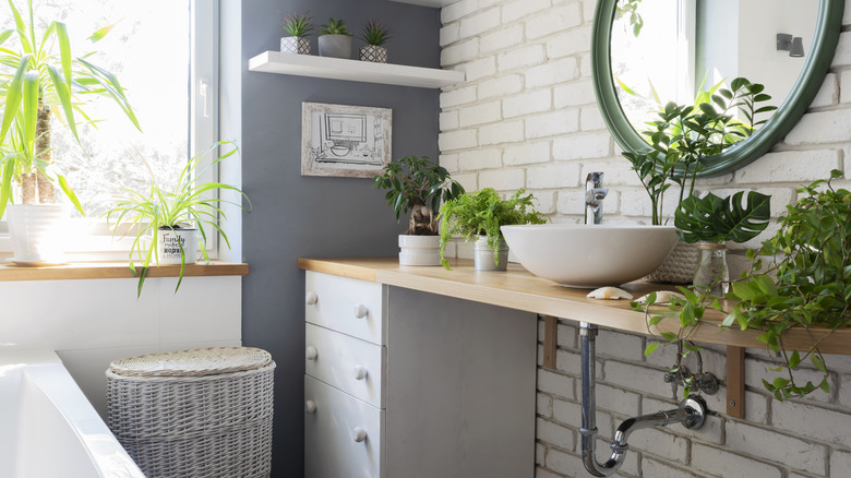 bathroom sink area filled with plants