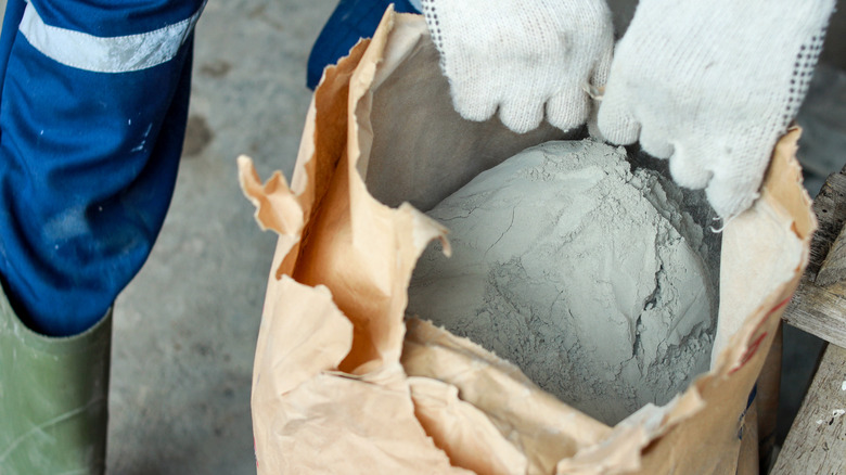 Person carrying a bag of cement