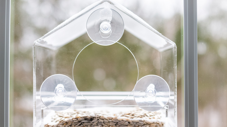 Suction cups holding up a birdhouse on a window