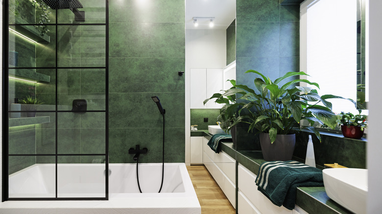 Shower screen