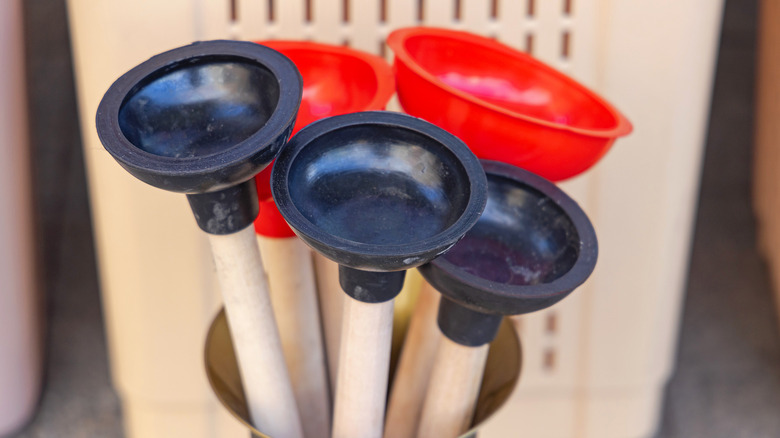 Several toilet plungers in black and read, sitting in a container at the store