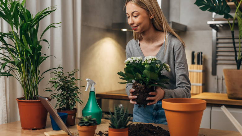 woman repotting plants