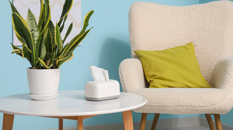 White tissue box on coffee table next to armchair