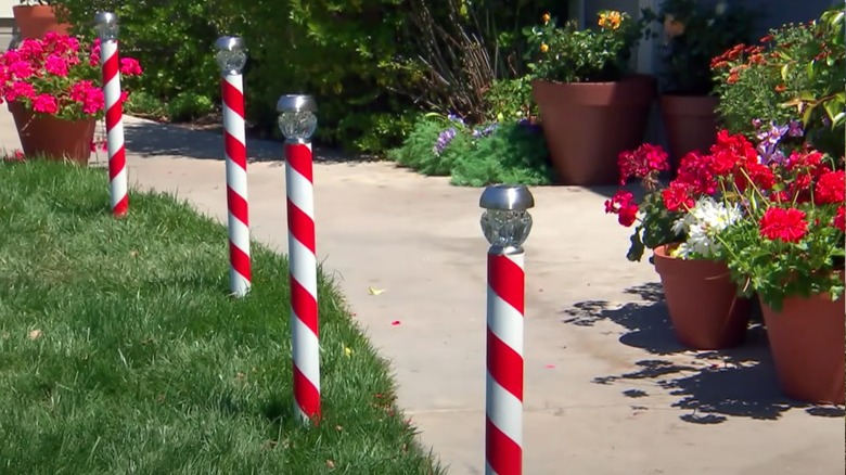 DIY candy cane walkway 